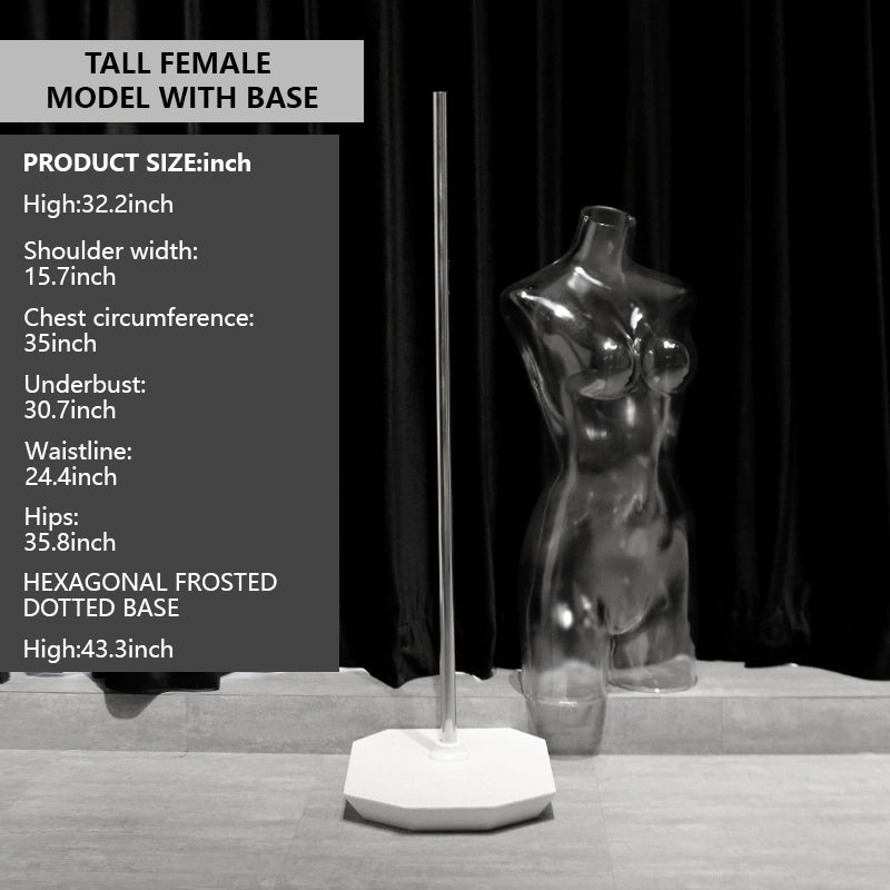 Transparent Female Half-Body Mannequin | 3D Photo Shoot Stand for Lingerie & Swimwear