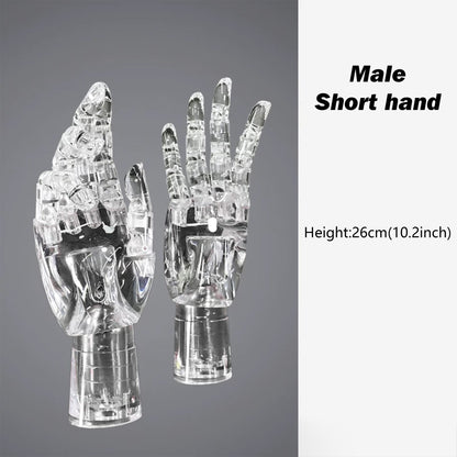 JELIMATE Clear Hand Mannequin Display Stand Articulated Joints Jewelry Ring Holder