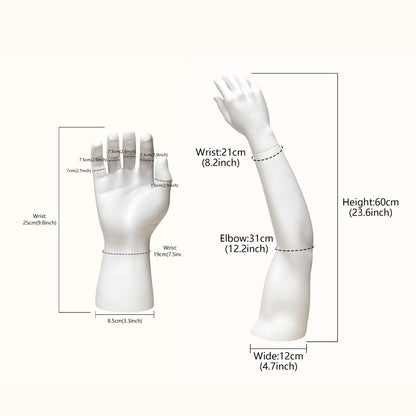 JELIMATE Fiberglass Male Mannequin Body Parts – 7 Styles for Sportswear & Brace Display