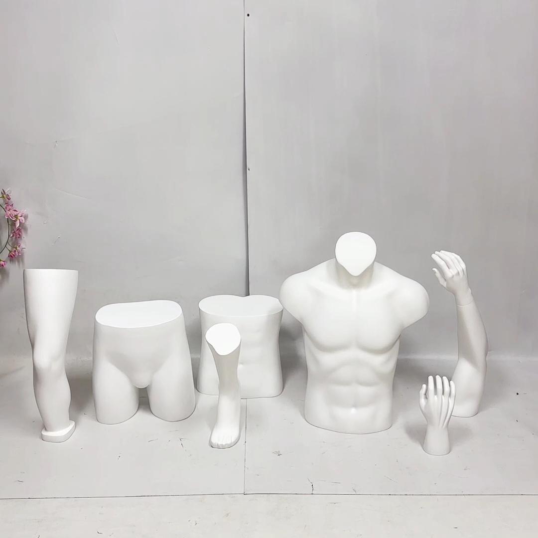 JELIMATE Plaster Display Props: Hands, Arms, Waist, Upper Body, Hips, Knees, and more.