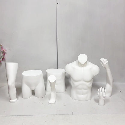 JELIMATE Plaster Display Props: Hands, Arms, Waist, Upper Body, Hips, Knees, and more.