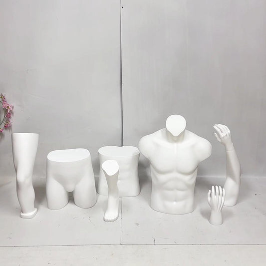 JELIMATE Plaster Display Props: Hands, Arms, Waist, Upper Body, Hips, Knees, and more.