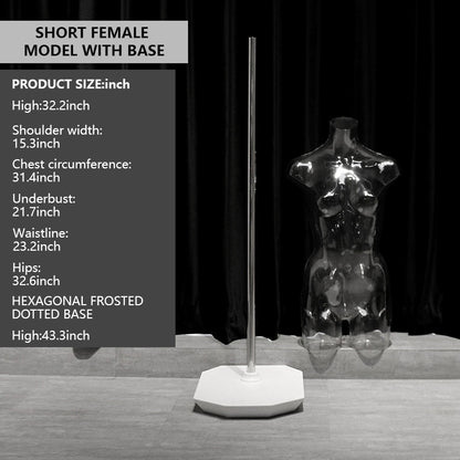 Transparent Female Half-Body Mannequin | 3D Photo Shoot Stand for Lingerie & Swimwear