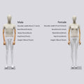 Jelimate High Quality Female Male Full Body Mannequin Dress Form,Upper Body Wrapped Bamboo Linen Fabric Bottom Leg Painting Matte White Dress Form With Wooden Arms