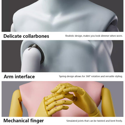 Premium Modern Mannequin Torso - Flexible Rotating Waist & Articulated Wooden Arms - Male, Female & Child Models