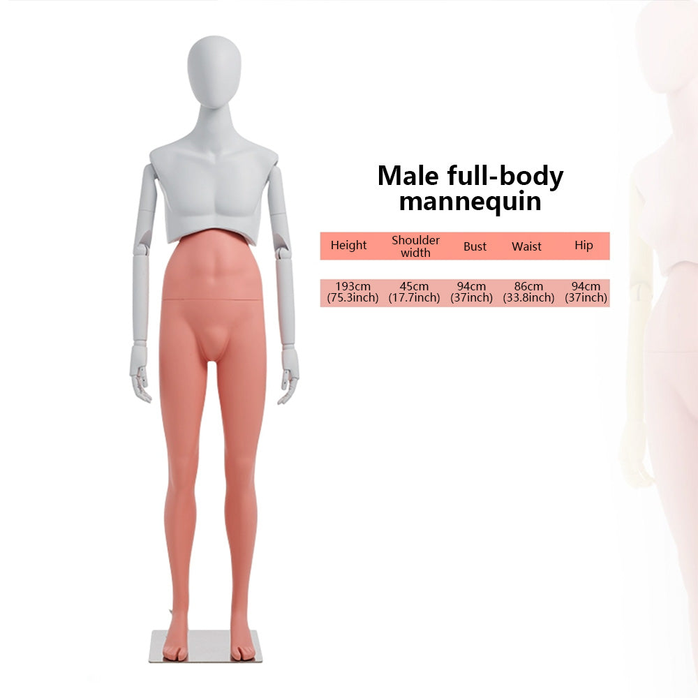 Premium Modern Mannequin Torso - Flexible Rotating Waist & Articulated Wooden Arms - Male, Female & Child Models