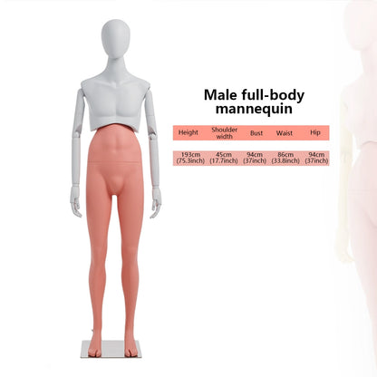 Premium Modern Mannequin Torso - Flexible Rotating Waist & Articulated Wooden Arms - Male, Female & Child Models