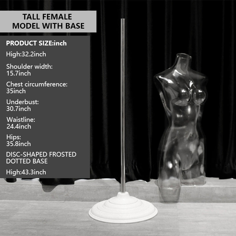 Transparent Female Half-Body Mannequin | 3D Photo Shoot Stand for Lingerie & Swimwear