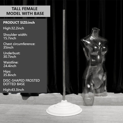 Transparent Female Half-Body Mannequin | 3D Photo Shoot Stand for Lingerie & Swimwear