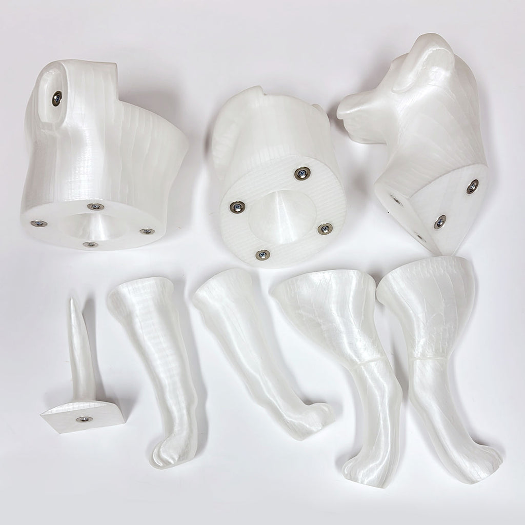 Premium Dog Mannequin Display - Magnetic Detachable Pet Clothing Model