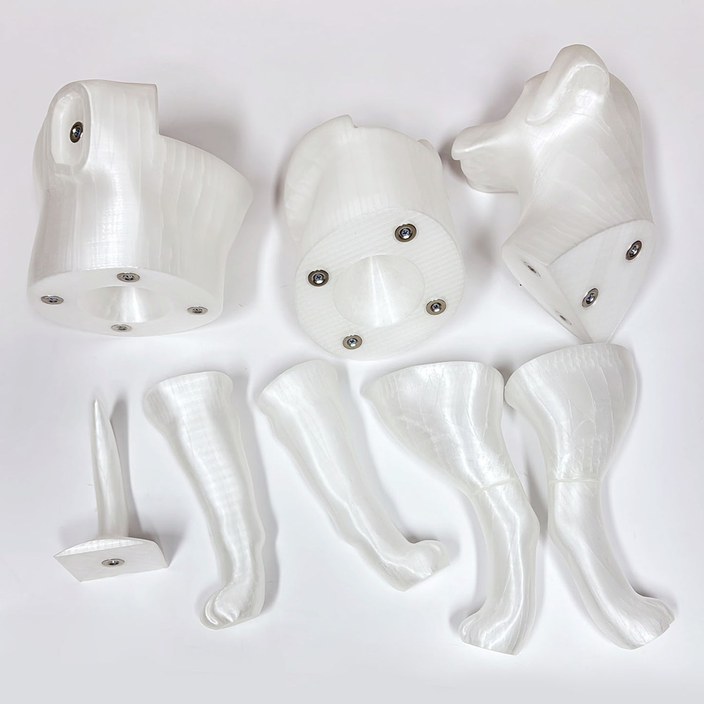 Premium Dog Mannequin Display - Magnetic Detachable Pet Clothing Model