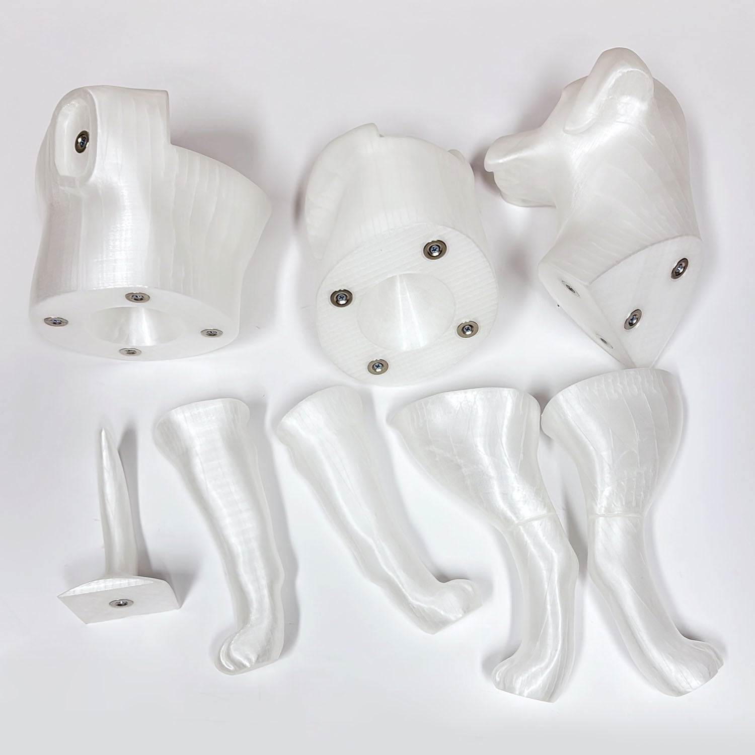 Premium Dog Mannequin Display - Magnetic Detachable Pet Clothing Model
