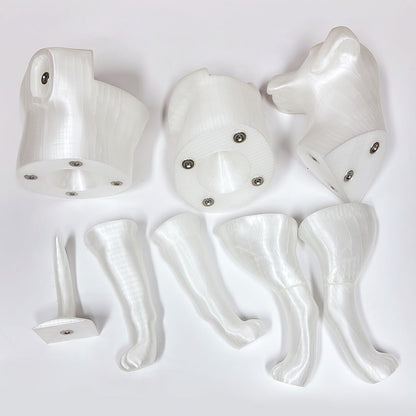 Premium Dog Mannequin Display - Magnetic Detachable Pet Clothing Model