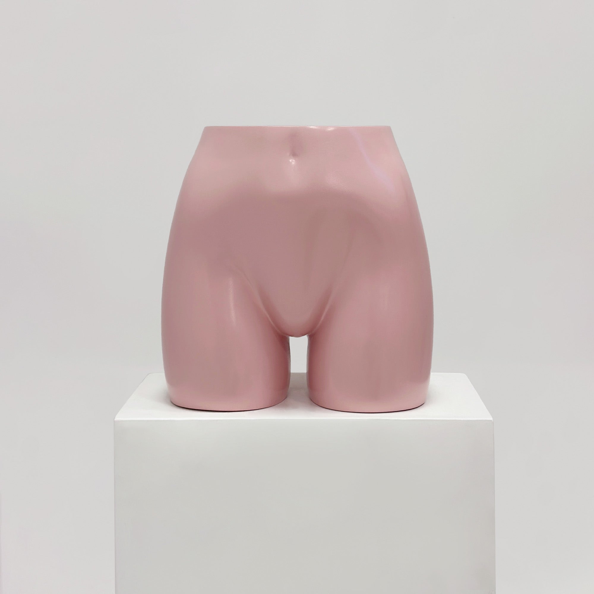 JELIMATE Female Mannequin Butt Form, Women's Half Body Shorts Display