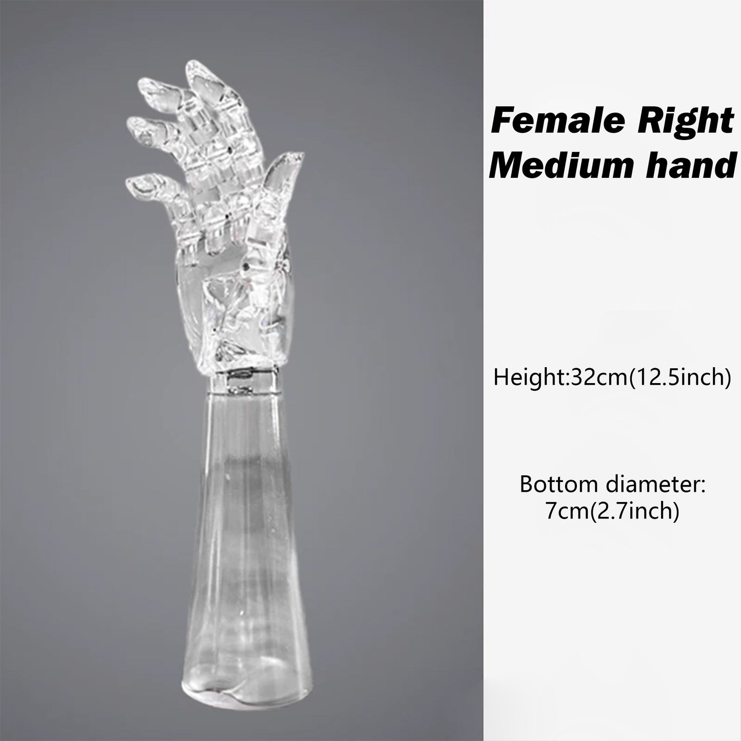 JELIMATE Clear Hand Mannequin Display Stand Articulated Joints Jewelry Ring Holder