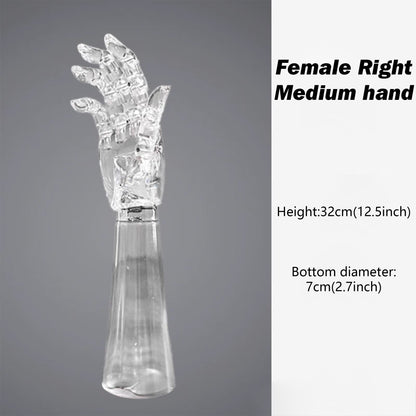 JELIMATE Clear Hand Mannequin Display Stand Articulated Joints Jewelry Ring Holder