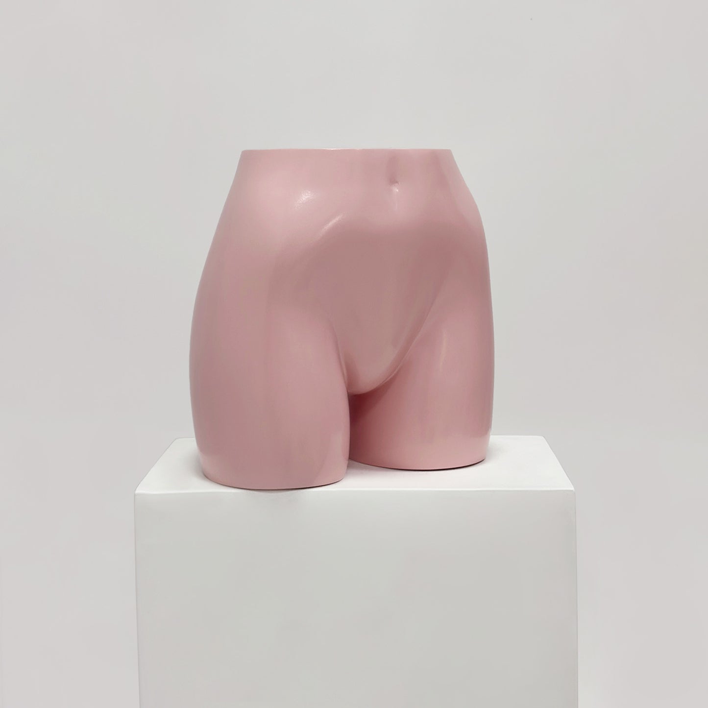 JELIMATE Female Mannequin Butt Form, Women's Half Body Shorts Display