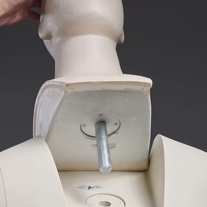 Premium Male Mannequin Full Body with Face - Standing & Seated Pose Retail Display for Boutique