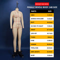 JELIMATE Professional Lingerie & Swimwear Dress Form (34B / 90D)