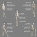 JELIMATE Premium Flexible Articulated Female Mannequin | High-End Window Display & Fashion Photography Poseable Dress Form (Standing & Sitting Models)