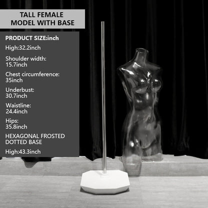 Transparent Female Half-Body Mannequin | 3D Photo Shoot Stand for Lingerie & Swimwear