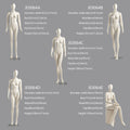 Jelimate Adult Female Sitting Standing Pose Beige Mannequin Full Body,Women Dress Form Beige Dress Form Mannequin,Window Dress Form Clothing Display Model