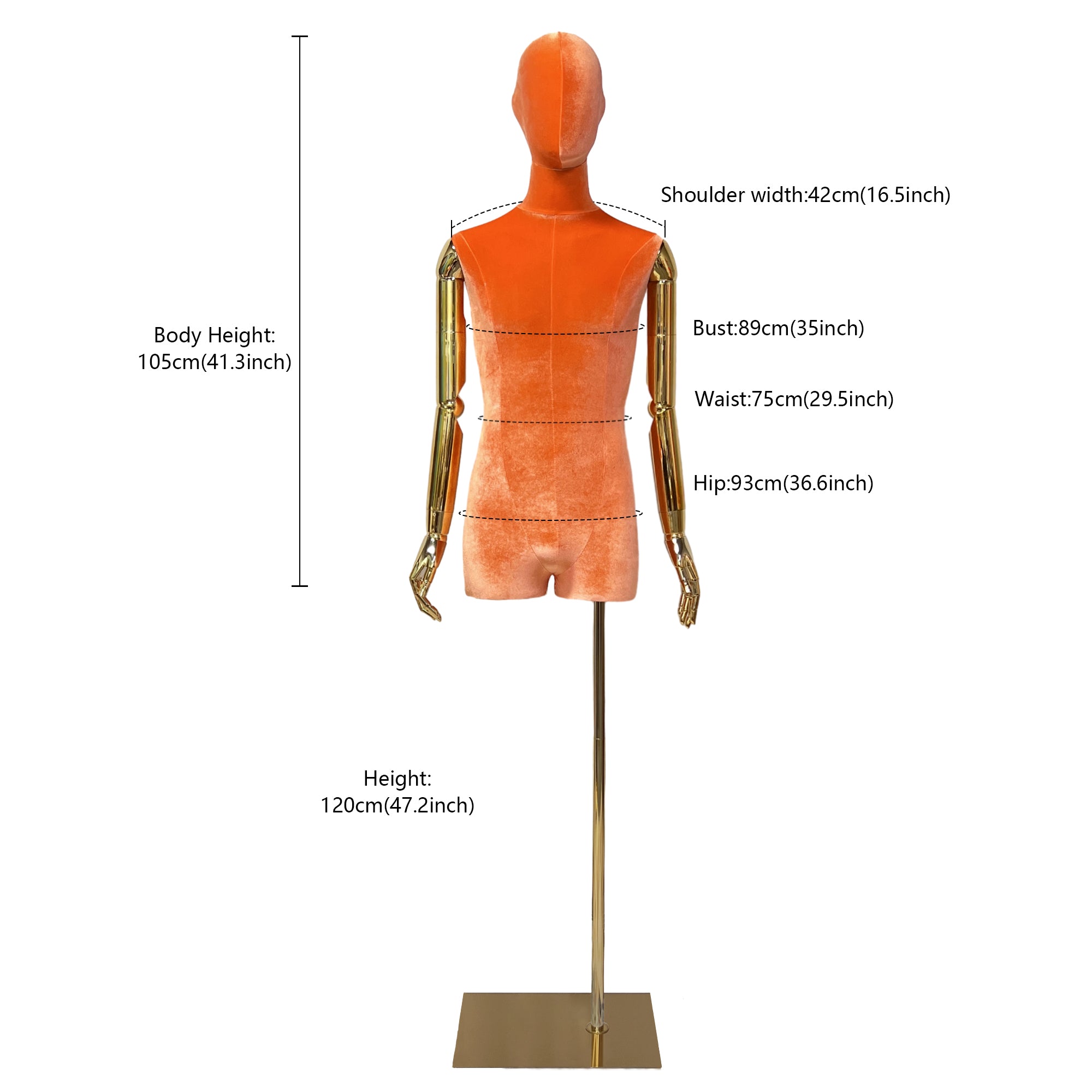 Jelimate Luxury Half Body Male Female Display Mannequin Torso,Velvet Dress Form Torso Plus Size Mannequin,Window Dress Form Clothing Model