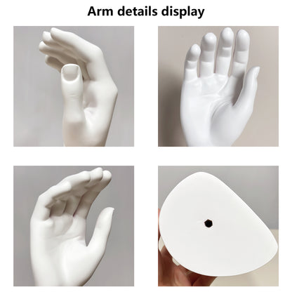 JELIMATE Fiberglass Male Mannequin Body Parts – 7 Styles for Sportswear & Brace Display