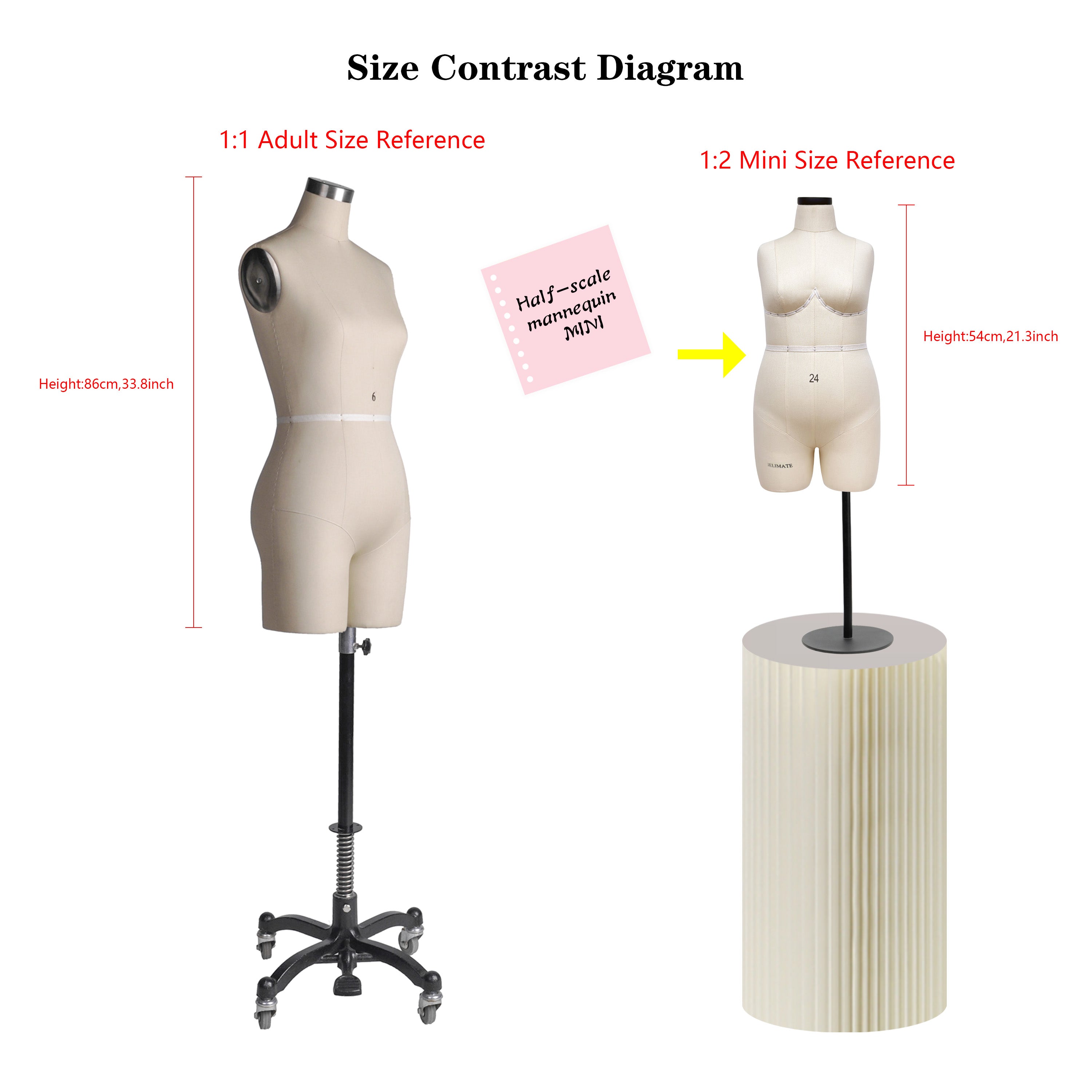 JELIMATE Studio | Plus Size Half Scale Dress Form (Size 24)
