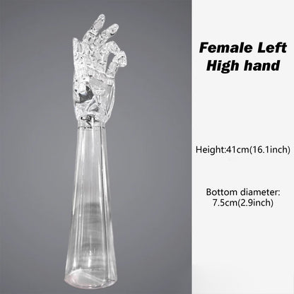 JELIMATE Clear Hand Mannequin Display Stand Articulated Joints Jewelry Ring Holder