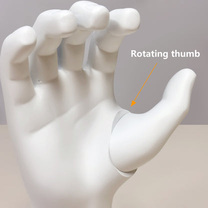 JELIMATE Fiberglass Male Mannequin Body Parts – 7 Styles for Sportswear & Brace Display