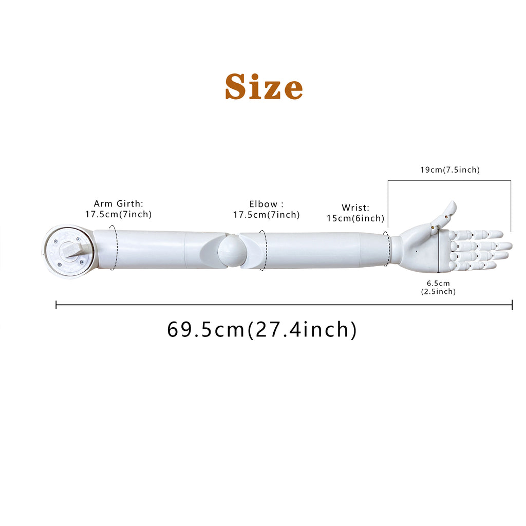 Jelimate Women White Plastic Mannequin Hand Stand Female Decorative Hand Model Jewelry Accessories Display Mannequin Hand for Gloves Jewellery Display Model