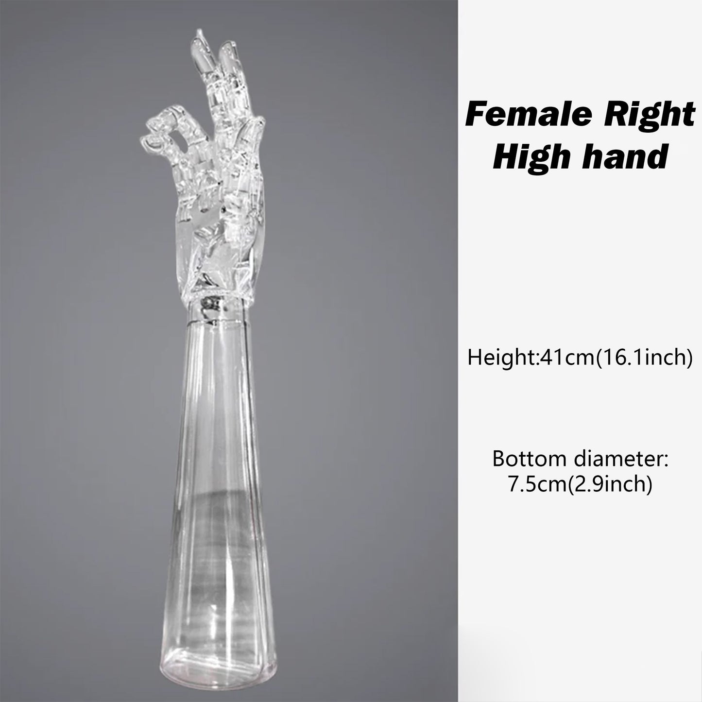 JELIMATE Clear Hand Mannequin Display Stand Articulated Joints Jewelry Ring Holder