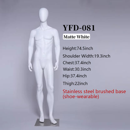 Premium Male Mannequin Full Body - Athletic Build Fiberglass Display