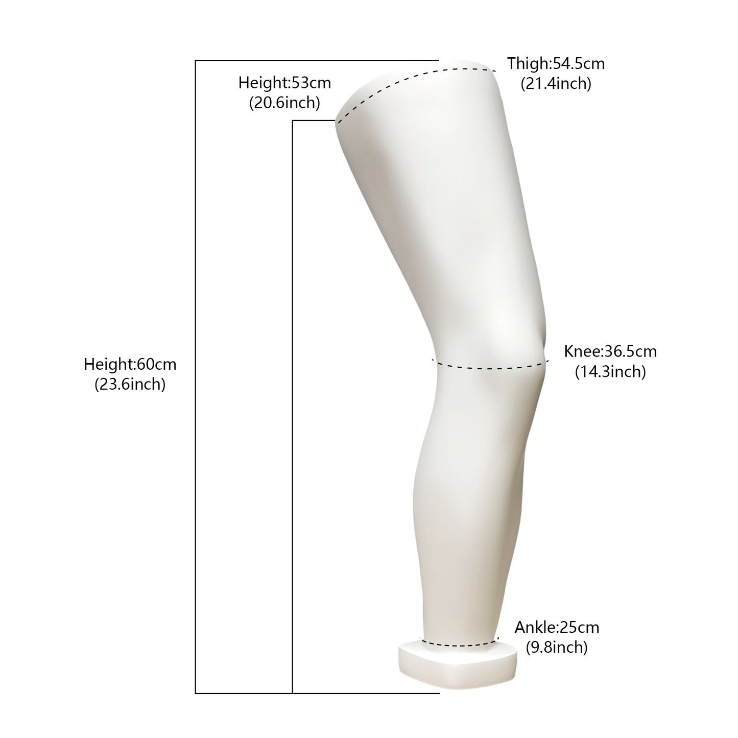 JELIMATE Fiberglass Male Mannequin Body Parts – 7 Styles for Sportswear & Brace Display