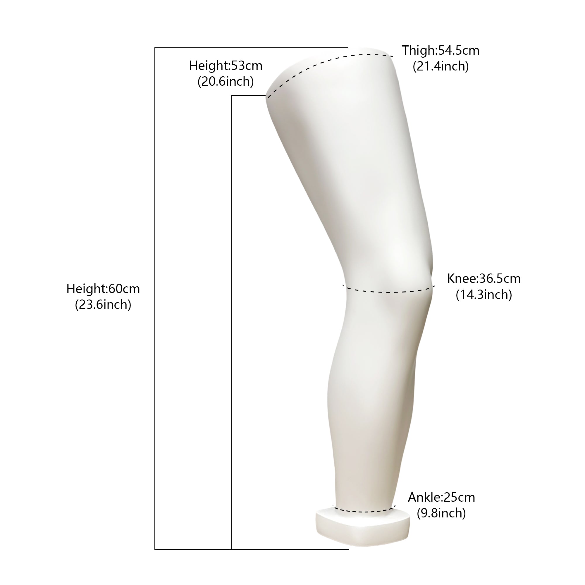 JELIMATE Fiberglass Male Mannequin Body Parts – 7 Styles for Sportswear & Brace Display