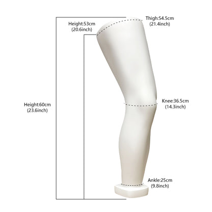 JELIMATE Fiberglass Male Mannequin Body Parts – 7 Styles for Sportswear & Brace Display