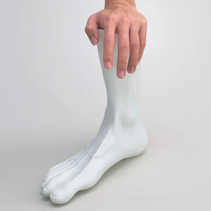 JELIMATE Male Foot Mannequin US Size 10, PVC Shoe Sock Display Model, 1 Pair