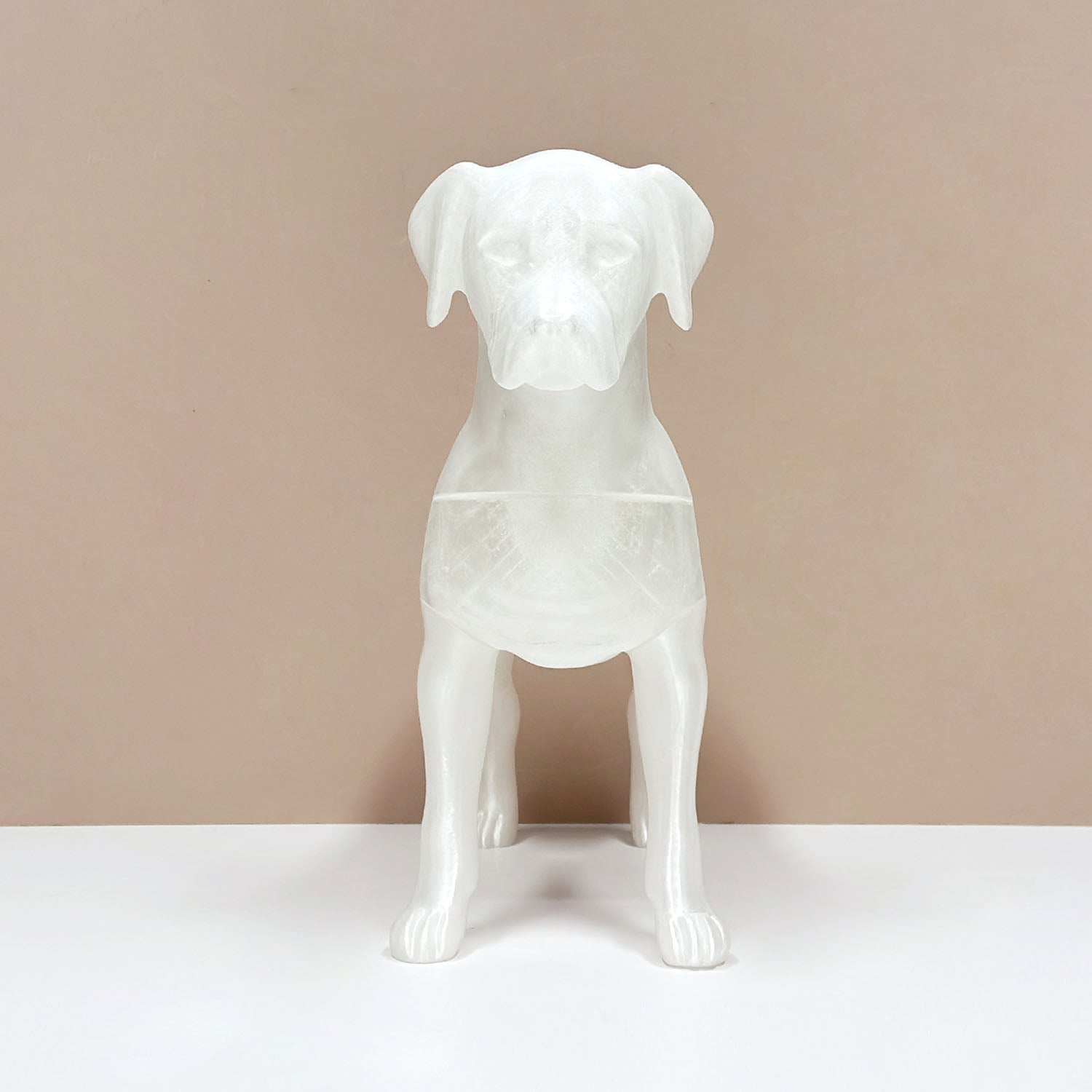 Premium Dog Mannequin Display - Magnetic Detachable Pet Clothing Model