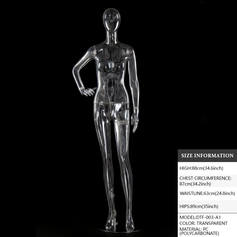 Transparent Hollow Mannequin Prop | Female & Male Half/Full Body Plastic Display for Swimwear, Underwear & Photography