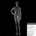 Transparent Hollow Mannequin Prop | Female & Male Half/Full Body Plastic Display for Swimwear, Underwear & Photography