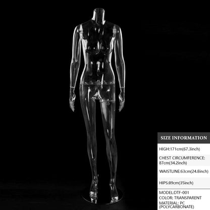 Transparent Hollow Mannequin Prop | Female & Male Half/Full Body Plastic Display for Swimwear, Underwear & Photography