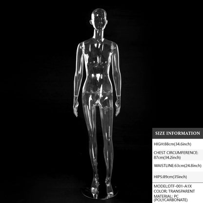 Transparent Hollow Mannequin Prop | Female & Male Half/Full Body Plastic Display for Swimwear, Underwear & Photography