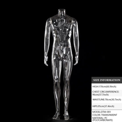 Transparent Hollow Mannequin Prop | Female & Male Half/Full Body Plastic Display for Swimwear, Underwear & Photography