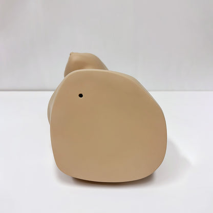 JELIMATE Mannequin Head for Wigs Hats Scarves, Male Female Fiberglass Wig Display Head