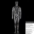 Transparent Hollow Mannequin Prop | Female & Male Half/Full Body Plastic Display for Swimwear, Underwear & Photography