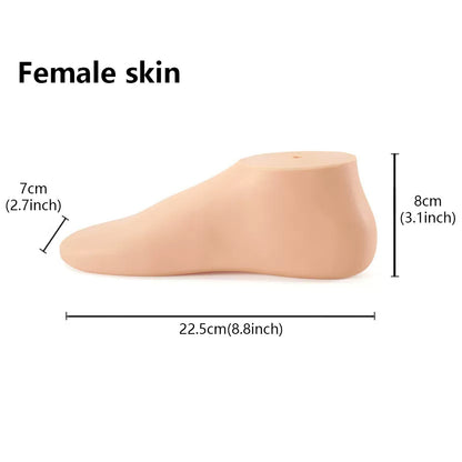 JELIMATE Foot Mannequin Display Model for Socks & Shoes | Male & Female
