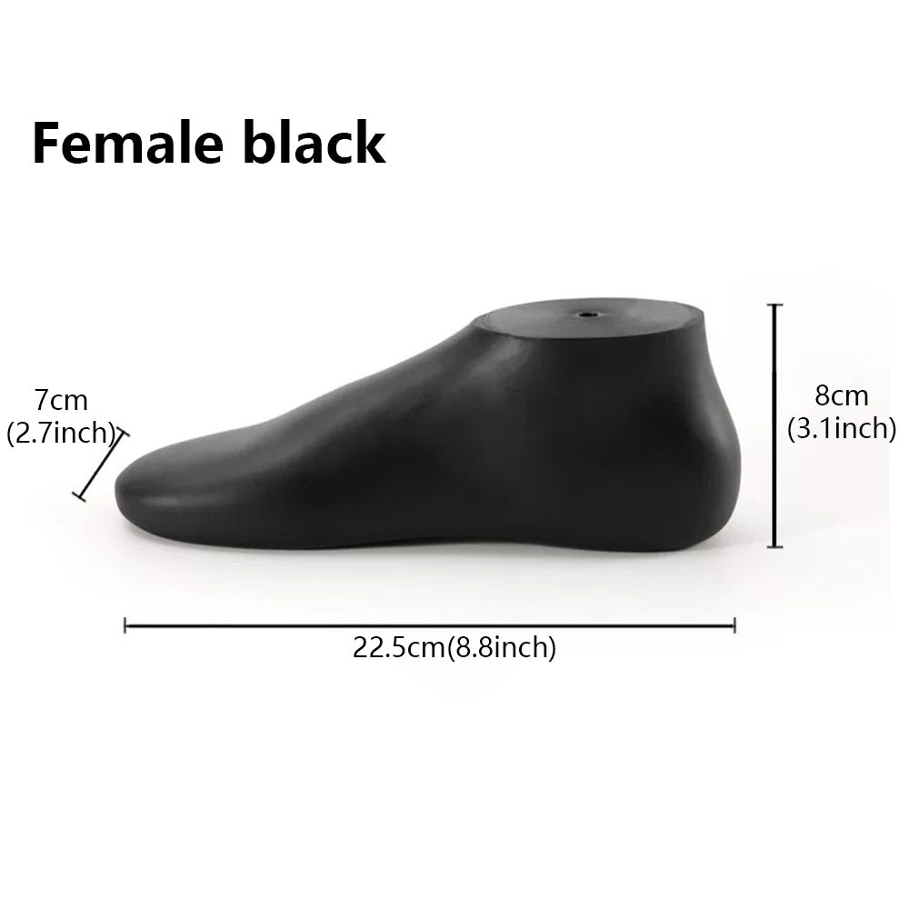 JELIMATE Foot Mannequin Display Model for Socks & Shoes | Male & Female