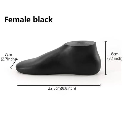 JELIMATE Foot Mannequin Display Model for Socks & Shoes | Male & Female