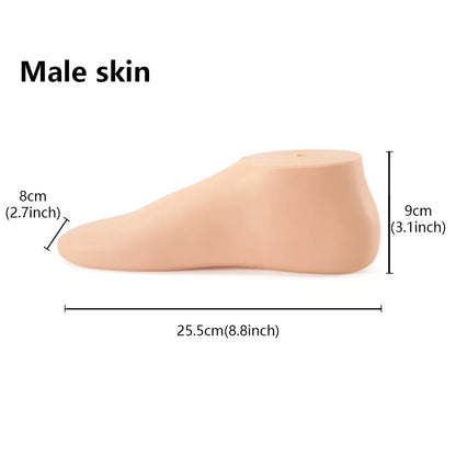 JELIMATE Foot Mannequin Display Model for Socks & Shoes | Male & Female